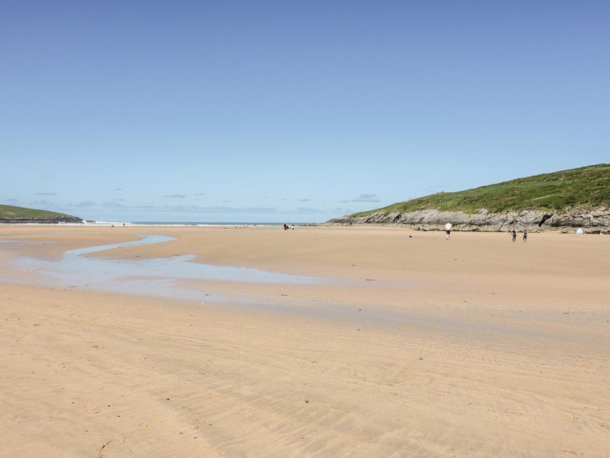 Seawynds New Quay Exterior foto